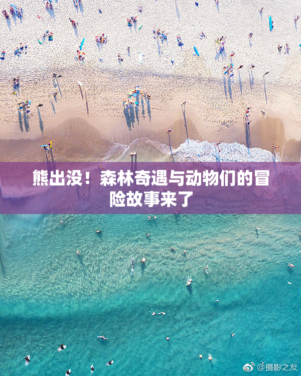 熊出没！森林奇遇与动物们的冒险故事来了