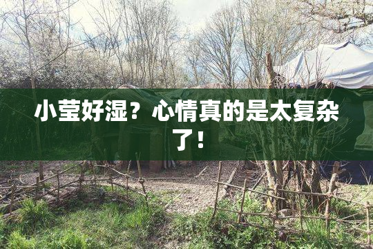 小莹好湿？心情真的是太复杂了！