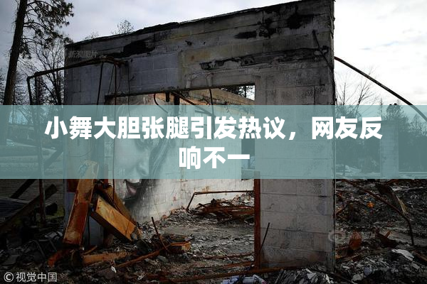 小舞大胆张腿引发热议，网友反响不一