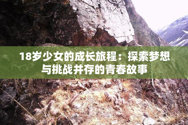 18岁少女的成长旅程：探索梦想与挑战并存的青春故事