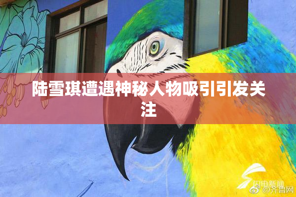 陆雪琪遭遇神秘人物吸引引发关注
