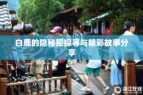 白鹿的隐秘密探寻与精彩故事分享