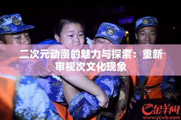二次元动漫的魅力与探索：重新审视次文化现象