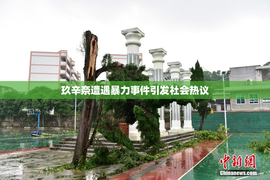 玖辛奈遭遇暴力事件引发社会热议