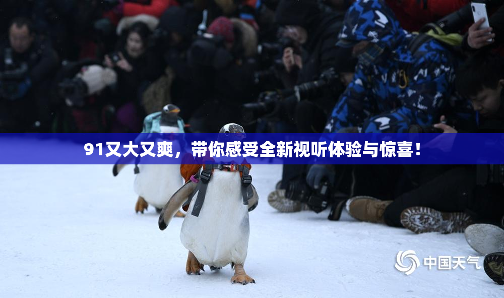 91又大又爽，带你感受全新视听体验与惊喜！