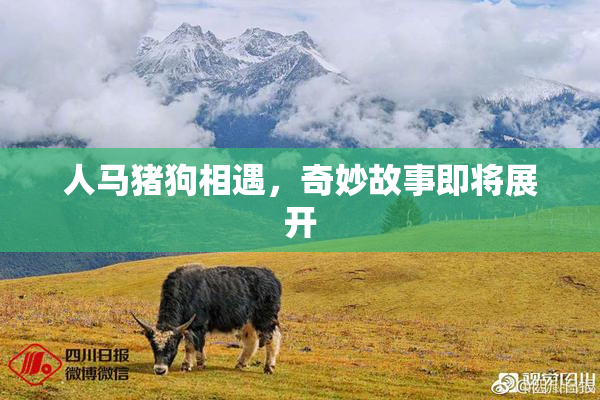 人马猪狗相遇，奇妙故事即将展开