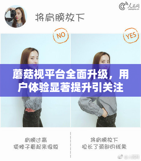 蘑菇视平台全面升级，用户体验显著提升引关注