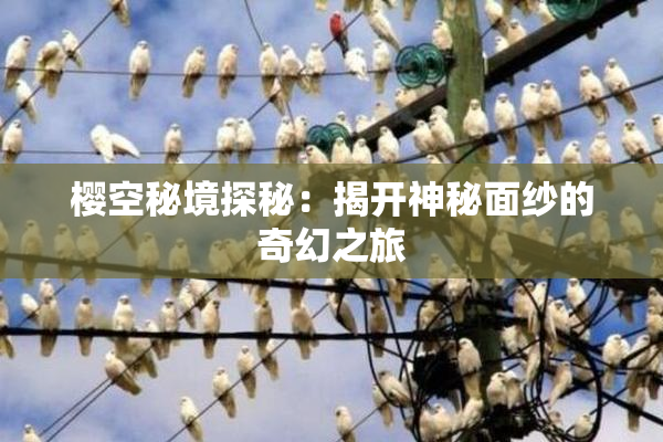 樱空秘境探秘：揭开神秘面纱的奇幻之旅