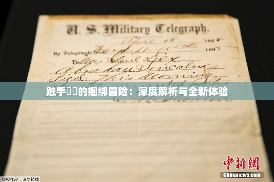 触手❌‌的捆绑冒险：深度解析与全新体验