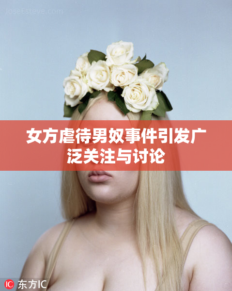 女方虐待男奴事件引发广泛关注与讨论