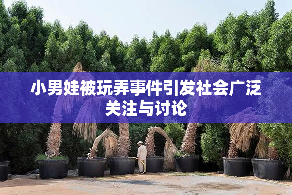 小男娃被玩弄事件引发社会广泛关注与讨论