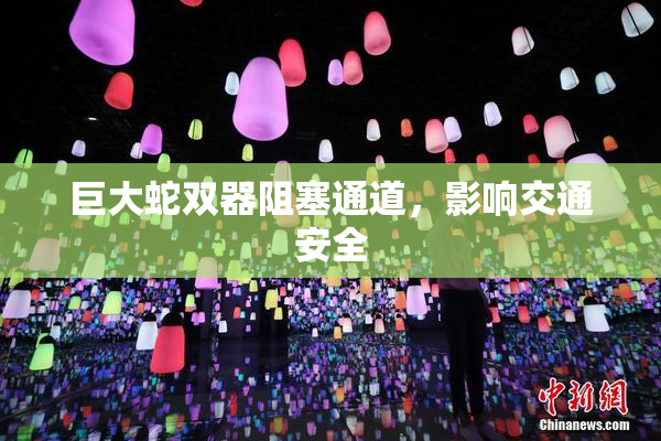 巨大蛇双器阻塞通道，影响交通安全