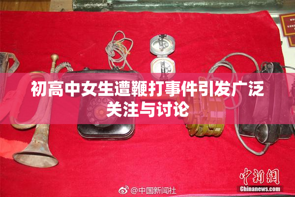 初高中女生遭鞭打事件引发广泛关注与讨论