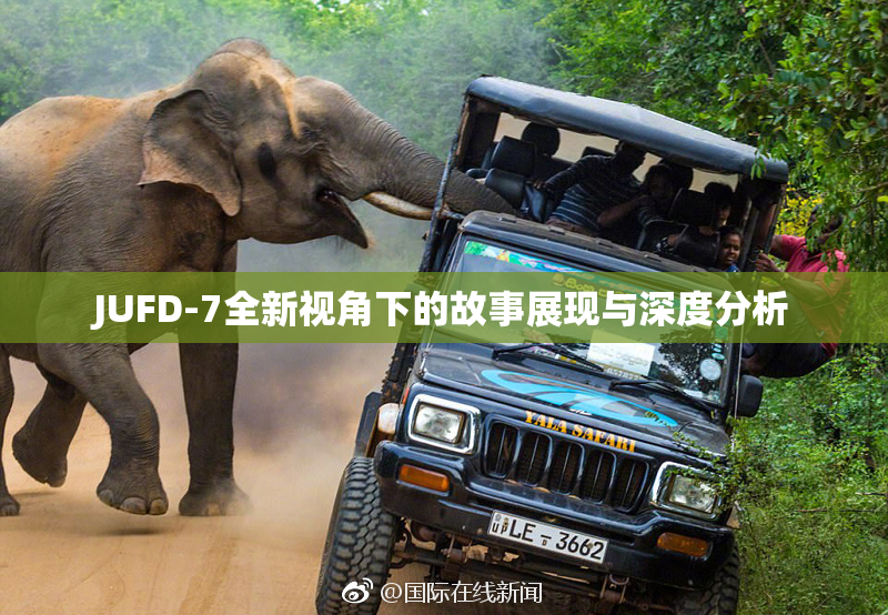 JUFD-7全新视角下的故事展现与深度分析