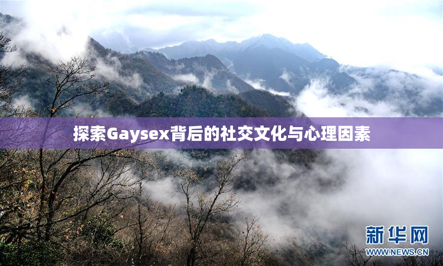 探索Gaysex背后的社交文化与心理因素