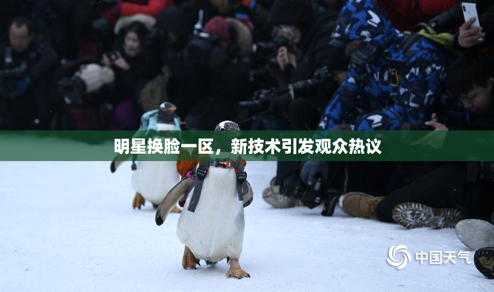 明星换脸一区，新技术引发观众热议