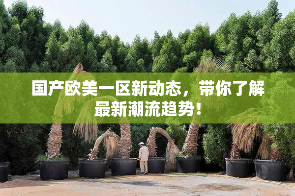 国产欧美一区新动态，带你了解最新潮流趋势！