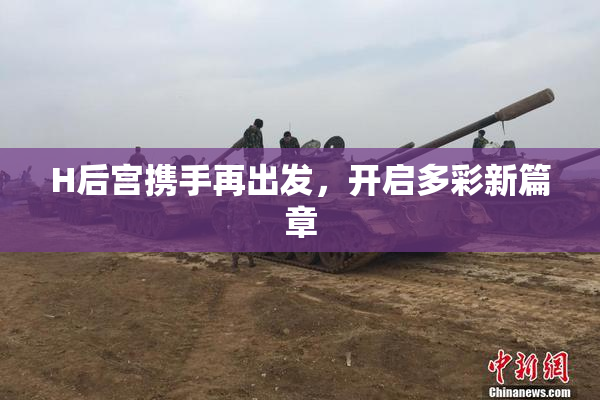 H后宫携手再出发，开启多彩新篇章