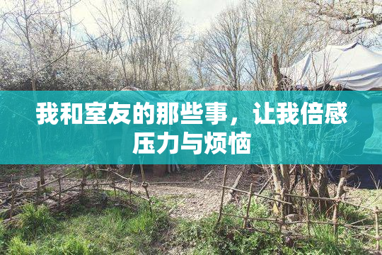 我和室友的那些事，让我倍感压力与烦恼