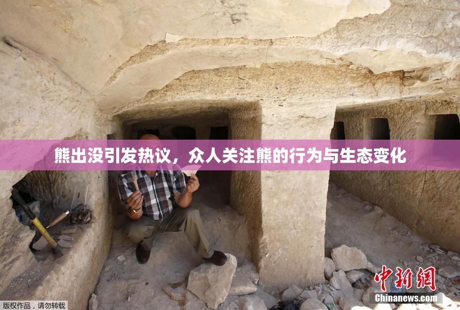 熊出没引发热议，众人关注熊的行为与生态变化