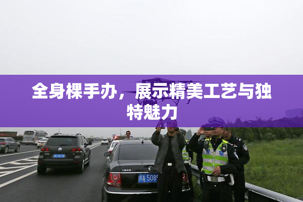 全身棵手办，展示精美工艺与独特魅力