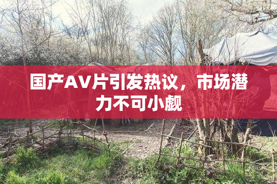 国产AV片引发热议，市场潜力不可小觑
