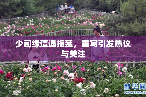 少司缘遭遇拖延，重写引发热议与关注