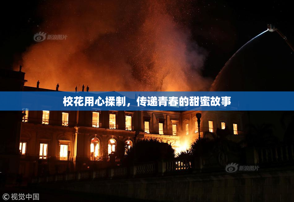 校花用心揉制，传递青春的甜蜜故事