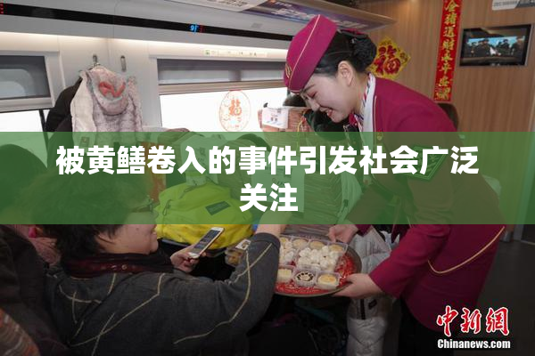被黄鳝卷入的事件引发社会广泛关注
