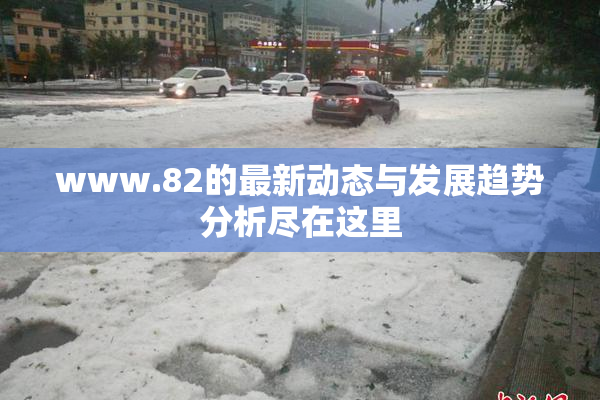 www.82的最新动态与发展趋势分析尽在这里