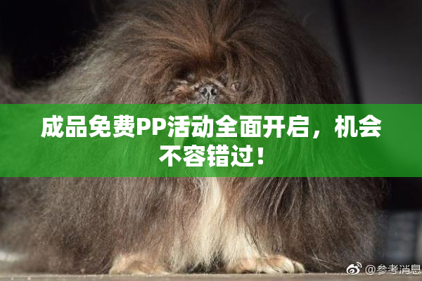 成品免费PP活动全面开启，机会不容错过！