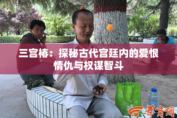 三宫椿：探秘古代宫廷内的爱恨情仇与权谋智斗