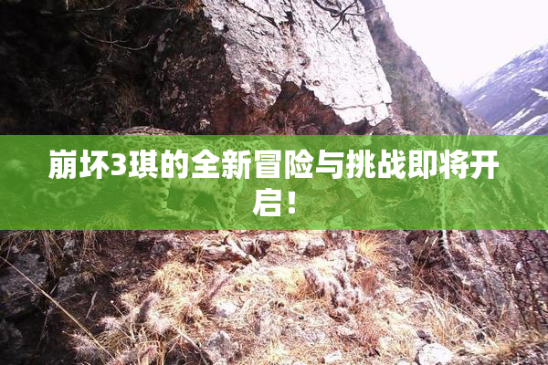 崩坏3琪的全新冒险与挑战即将开启！