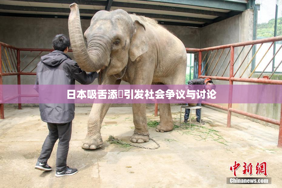 日本吸舌添泬引发社会争议与讨论