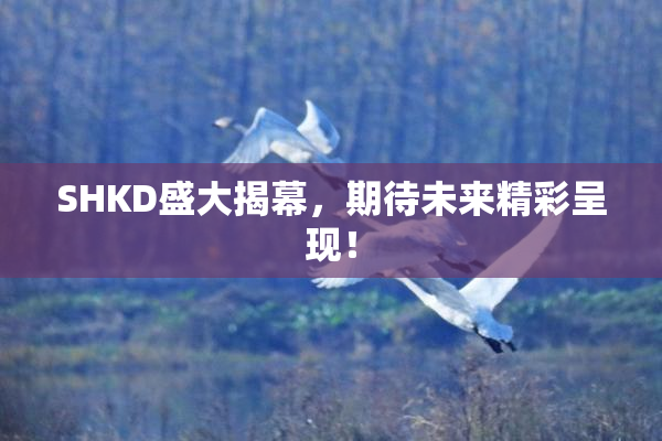 SHKD盛大揭幕，期待未来精彩呈现！