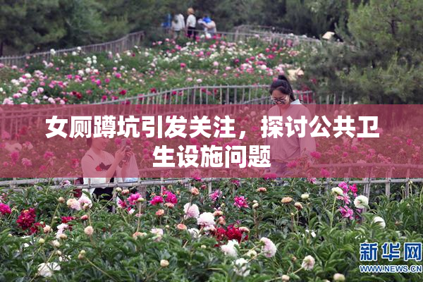 女厕蹲坑引发关注，探讨公共卫生设施问题
