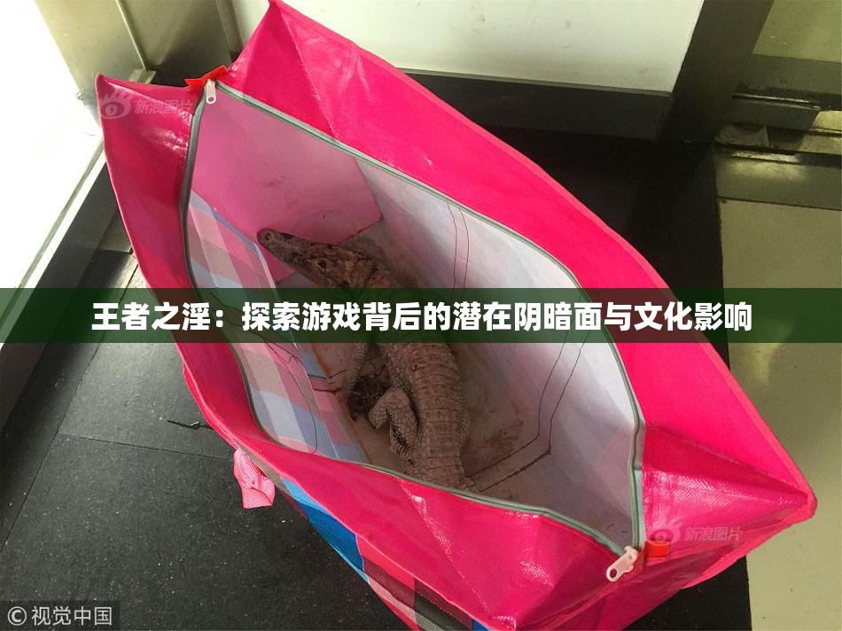 王者之淫：探索游戏背后的潜在阴暗面与文化影响