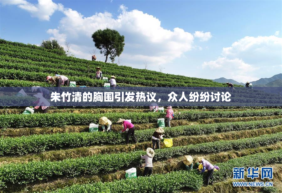 朱竹清的胸围引发热议，众人纷纷讨论