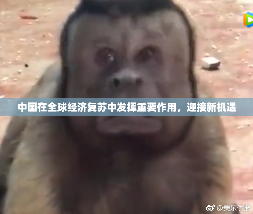 中国在全球经济复苏中发挥重要作用，迎接新机遇