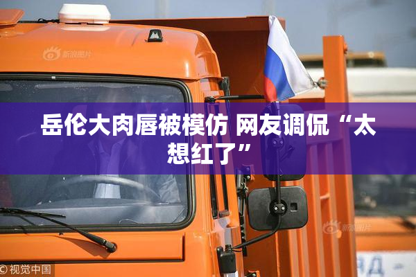 岳伦大肉唇被模仿 网友调侃“太想红了”