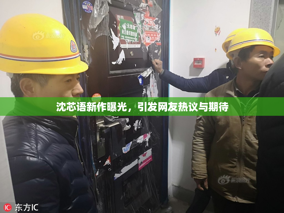 沈芯语新作曝光，引发网友热议与期待