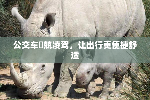 公交车妺兢凌驾，让出行更便捷舒适