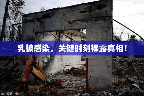 乳被感染，关键时刻裸露真相！