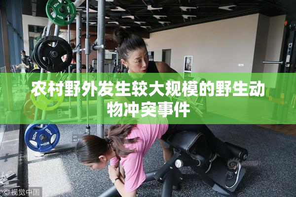 农村野外发生较大规模的野生动物冲突事件