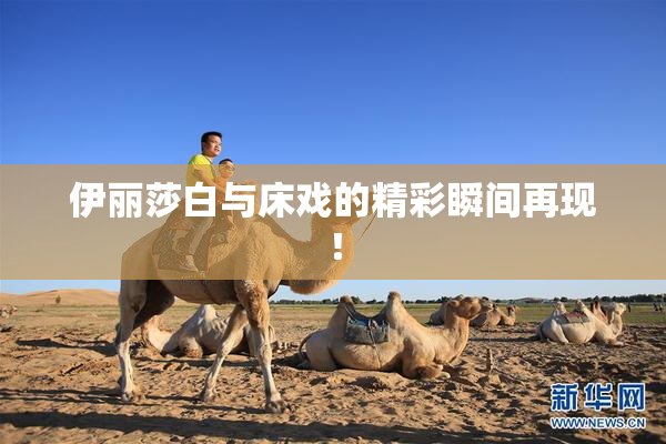 伊丽莎白与床戏的精彩瞬间再现！