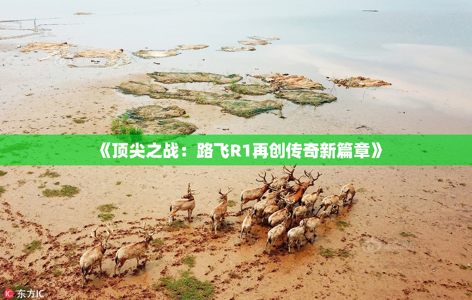 《顶尖之战：路飞R1再创传奇新篇章》