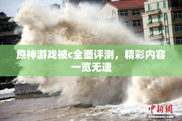 原神游戏被c全面评测，精彩内容一览无遗