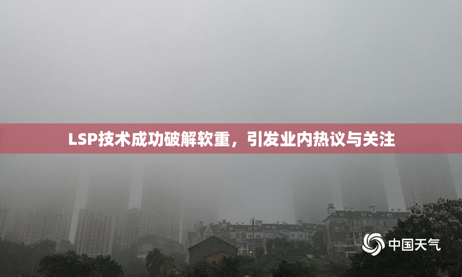 LSP技术成功破解软重，引发业内热议与关注