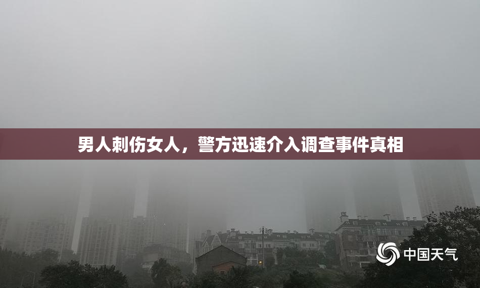 男人刺伤女人，警方迅速介入调查事件真相