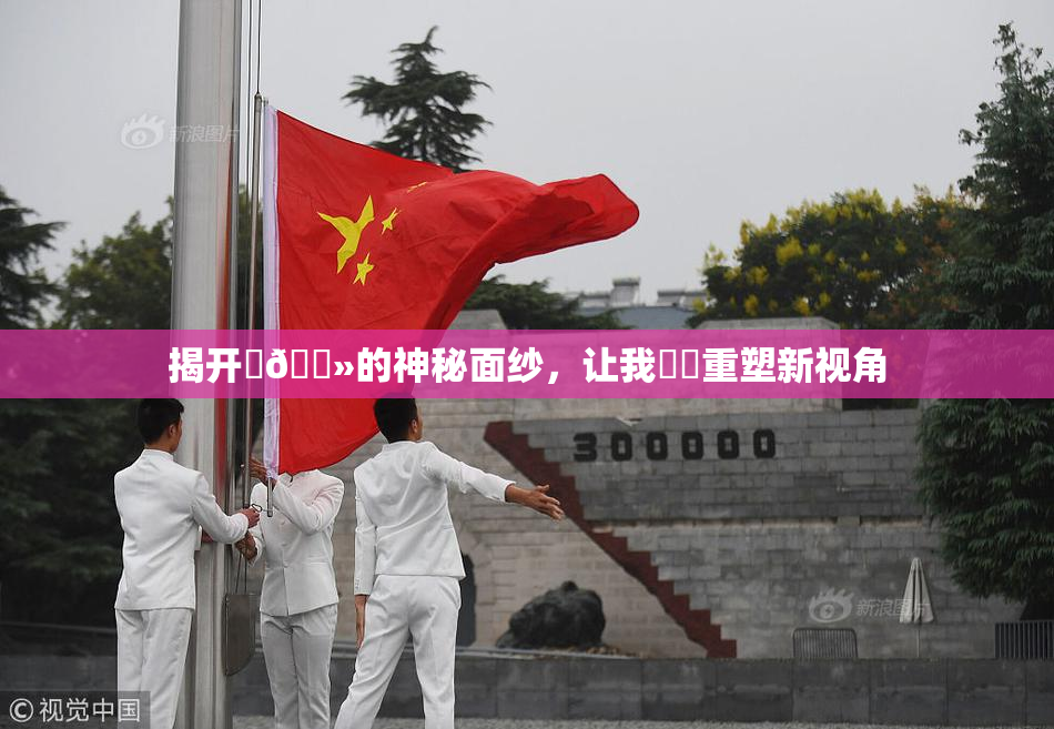 揭开‌🐻的神秘面纱，让我❌‌重塑新视角